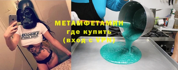 индика Богородицк