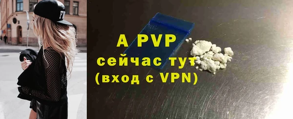 индика Богородицк