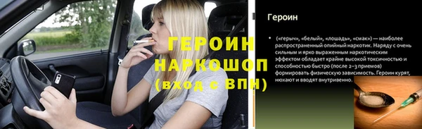 индика Богородицк