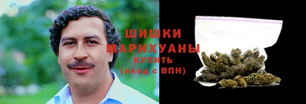 индика Богородицк