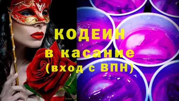 индика Богородицк
