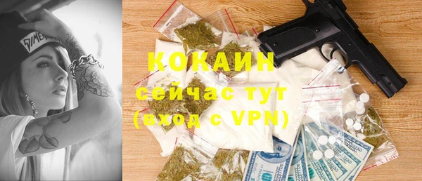 индика Богородицк