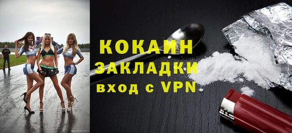 индика Богородицк