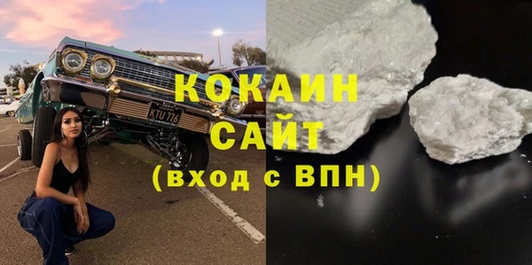индика Богородицк