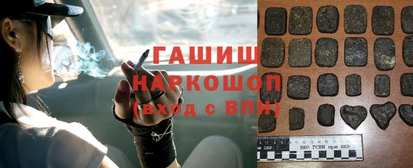 индика Богородицк
