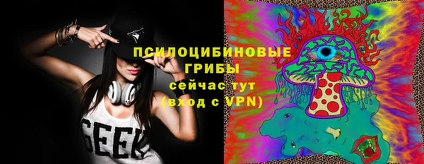 индика Богородицк