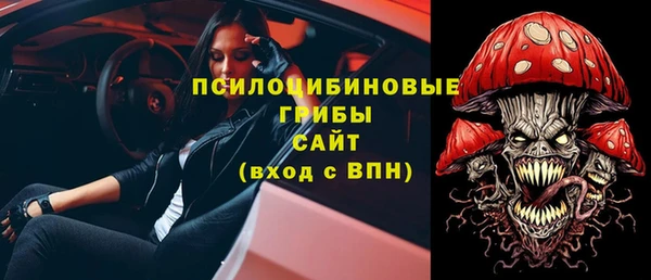 mix Богородск