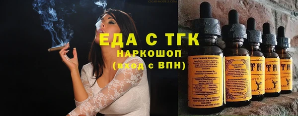 индика Богородицк